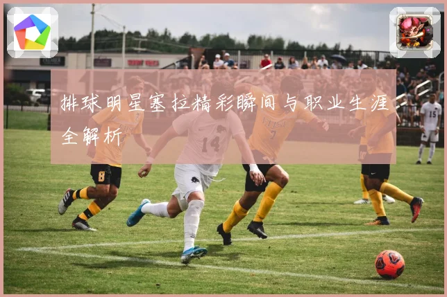 排球明星塞拉精彩瞬间与职业生涯全解析