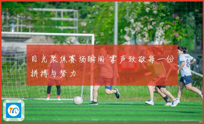目光聚焦赛场瞬间 掌声致敬每一份拼搏与努力
