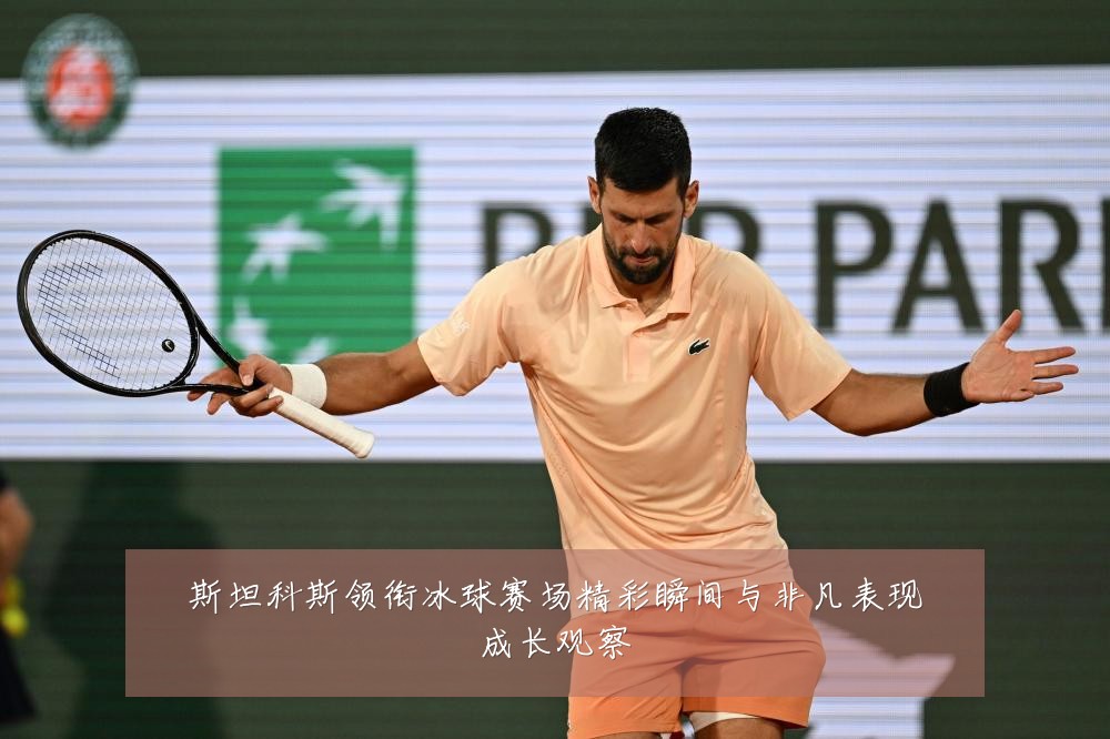斯坦科斯领衔冰球赛场精彩瞬间与非凡表现成长观察