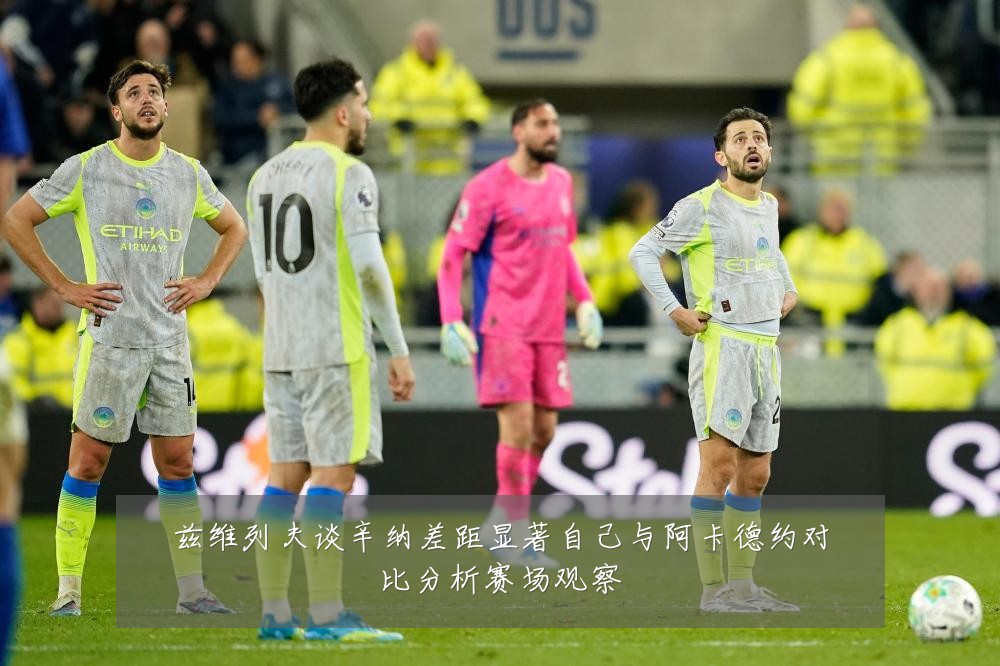 兹维列夫谈辛纳差距显著自己与阿卡德约对比分析赛场观察